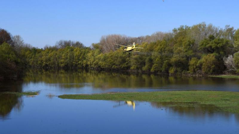 Megkezdődött az, amire rengetegen áhítoztak a Tisza-tó partján!