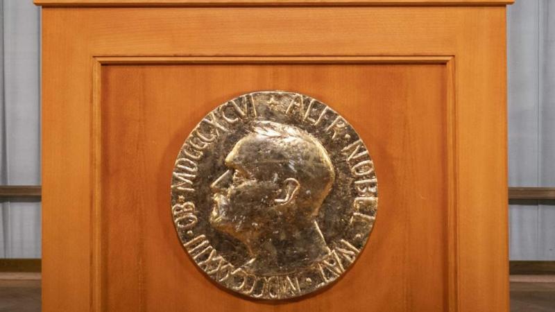 Idén az orvosi-élettani Nobel-díjat két amerikai és egy japán kutató érdemli ki.