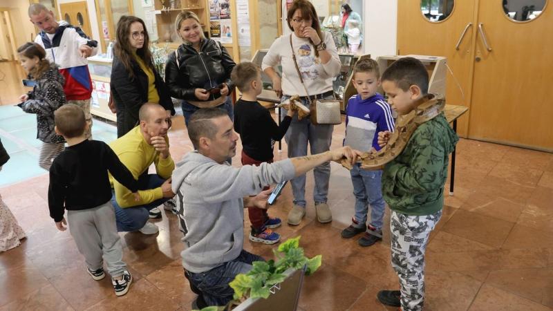 Diósgyőrben egy impozáns és félelmetes lény bukkant fel – képek és videók!
