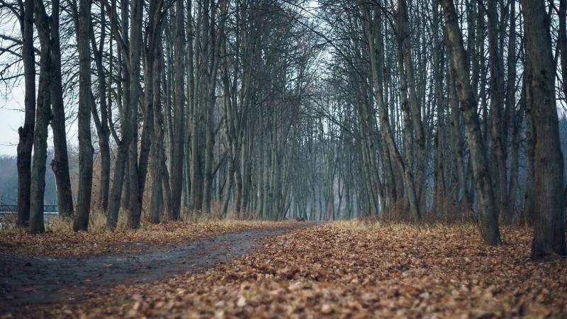 Ködből ébredve a napsugarak ölelésében – Szolnok környékén izgalmas fordulatot vesz a hétfői időjárás.