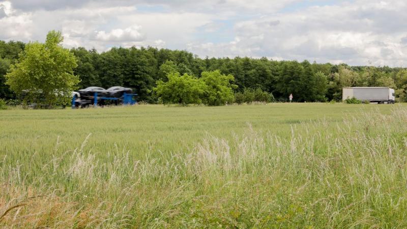 Szántóföld vásárlásra gondol Vas megyében? Fedezze fel a legfrissebb árakat és lehetőségeket!