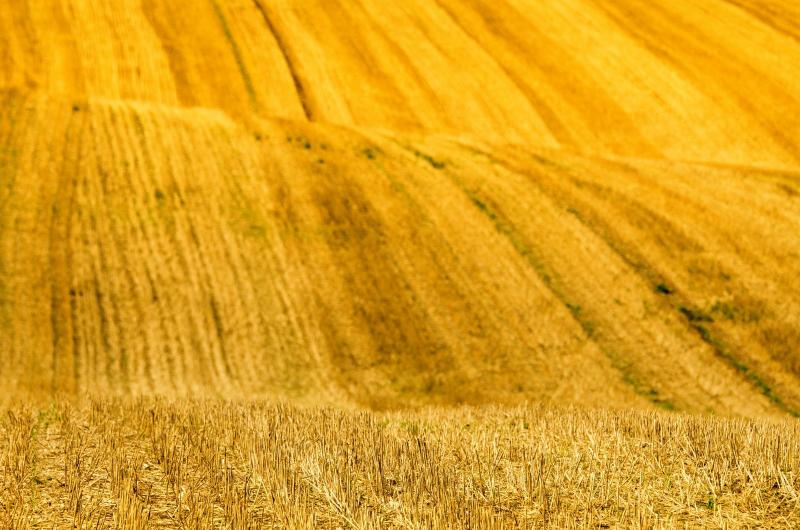 A földnek van egy különleges ára, a termőtalaj pedig felbecsülhetetlen értékkel bír.