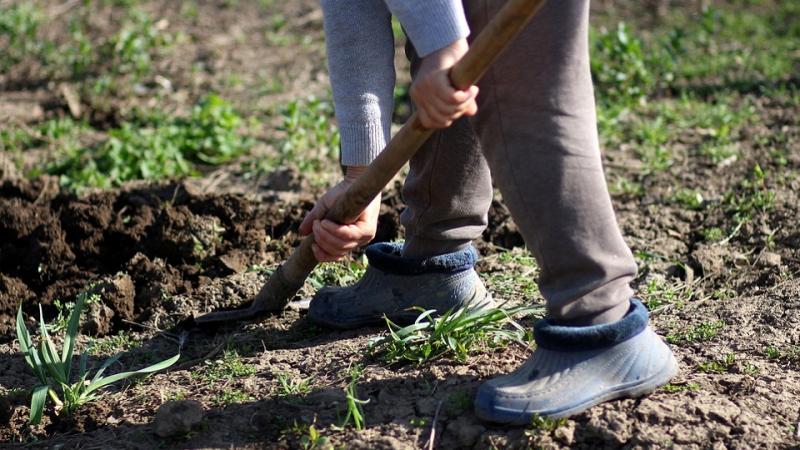 Július 1-jétől kezdődően évente legfeljebb 120 napos időtartamban vehetnek részt az emberek alkalmi és idénymunkákban.