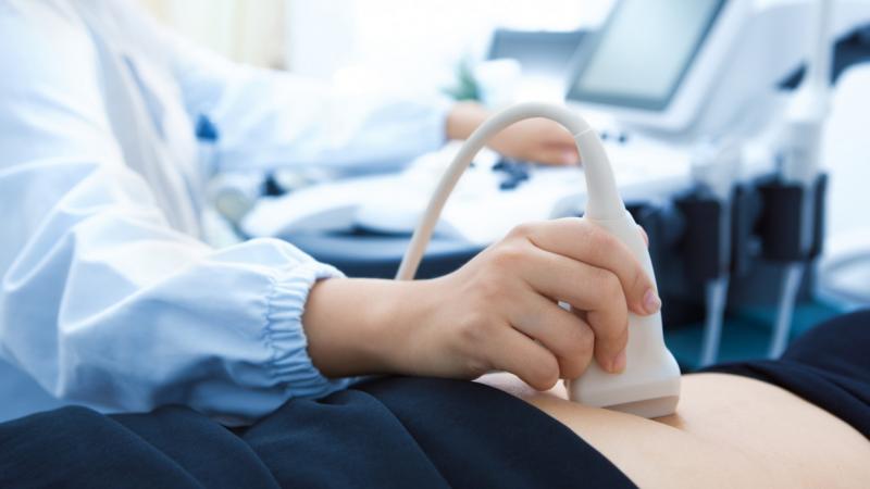 Új korszak kezdődhet a magyar meddőségkezelés terén: januártól várhatóan lehetővé válik a petesejt-donáció - Pénzcentrum