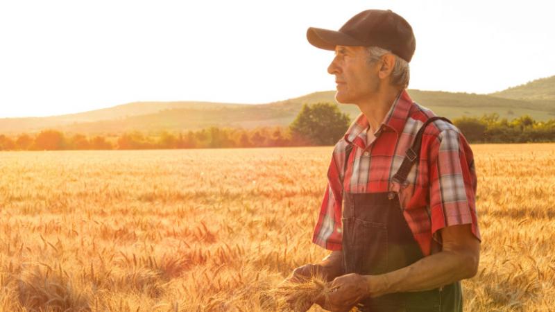 Agrárszektor Konferencia: Van-e jövője a profitorientált mezőgazdaságnak? - Agro Napló

Az Agrárszektor Konferencia keretein belül arra keressük a választ, hogy milyen lehetőségek rejlenek a mezőgazdasági ágazatban a profitabilitás terén. A rendezvény cél